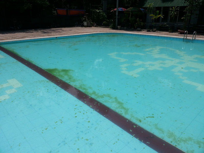 Биопленки и биообрастания в условиях бассейна